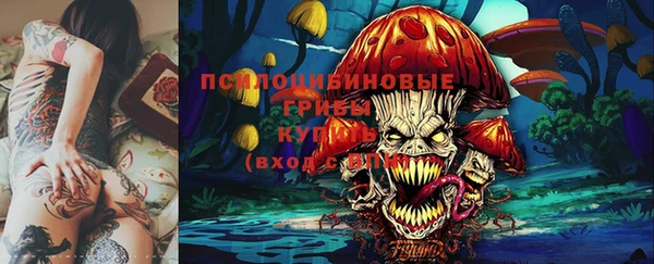 МДПВ Пролетарск