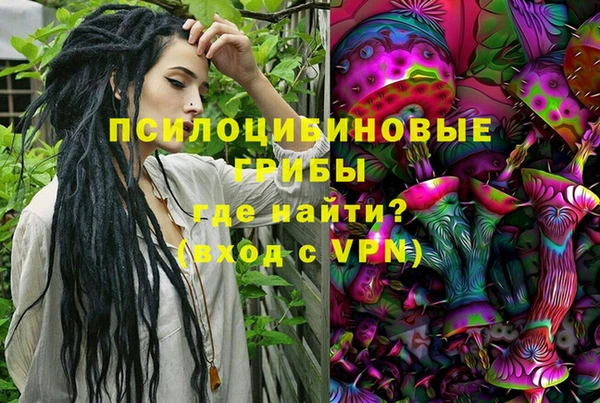 МДПВ Пролетарск