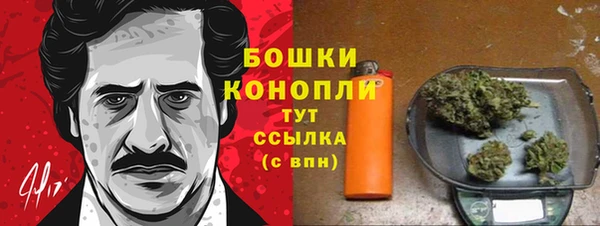 сатива Куйбышев