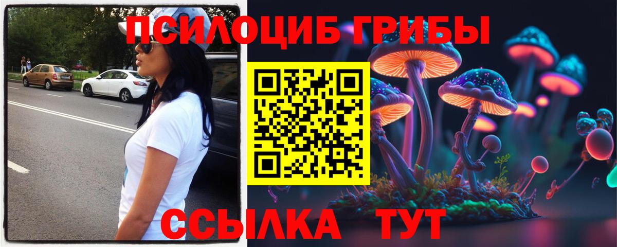 Псилоцибиновые грибы прущие грибы Красноперекопск